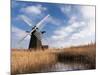 Herringfleet Drainage Mill, Suffolk, UK-Nadia Isakova-Mounted Photographic Print