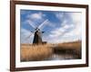 Herringfleet Drainage Mill, Suffolk, UK-Nadia Isakova-Framed Photographic Print