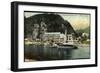 Herrnskretschen Böhm. Schweiz, Dampfer Karlsbad-null-Framed Giclee Print