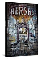 Hersh's Wine Lower East Side NYC-null-Stretched Canvas