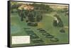 Hershey Golf Course, Hershey, Pennsylvania-null-Framed Stretched Canvas