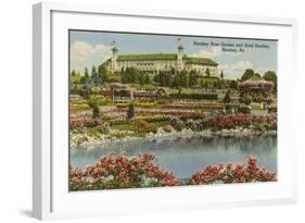 Hershey Rose Garden and Hotel, Hershey, Pennsylvania-null-Framed Art Print