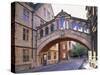 Hertford College, Oxford, Oxfordshire, England-Steve Vidler-Stretched Canvas