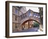 Hertford College, Oxford, Oxfordshire, England-Steve Vidler-Framed Photographic Print