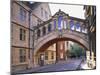 Hertford College, Oxford, Oxfordshire, England-Steve Vidler-Mounted Photographic Print