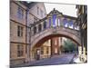 Hertford College, Oxford, Oxfordshire, England-Steve Vidler-Mounted Photographic Print