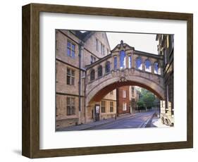 Hertford College, Oxford, Oxfordshire, England-Steve Vidler-Framed Photographic Print