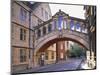 Hertford College, Oxford, Oxfordshire, England-Steve Vidler-Mounted Photographic Print