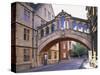 Hertford College, Oxford, Oxfordshire, England-Steve Vidler-Stretched Canvas