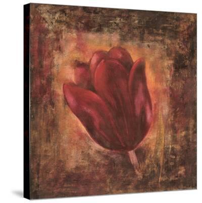 Red Tulipans I