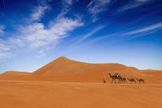 Desert Life-Hesham Alhumaid-Framed Stretched Canvas