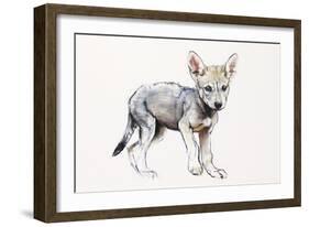 Hesitating Arabian Wolf Pup, 2009-Mark Adlington-Framed Giclee Print