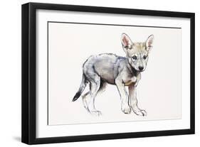 Hesitating Arabian Wolf Pup, 2009-Mark Adlington-Framed Giclee Print