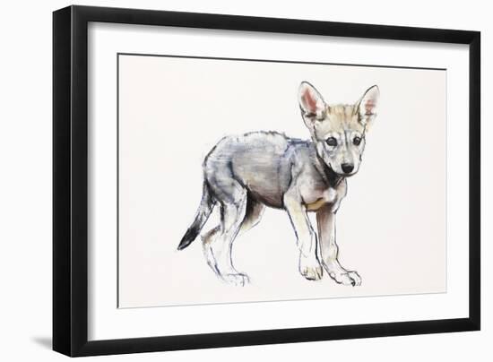 Hesitating Arabian Wolf Pup, 2009-Mark Adlington-Framed Giclee Print