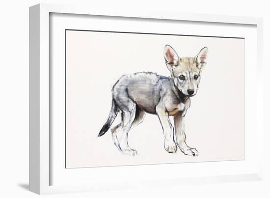 Hesitating Arabian Wolf Pup, 2009-Mark Adlington-Framed Giclee Print