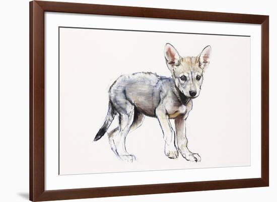 Hesitating Arabian Wolf Pup, 2009-Mark Adlington-Framed Giclee Print