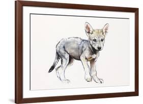 Hesitating Arabian Wolf Pup, 2009-Mark Adlington-Framed Giclee Print