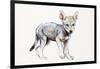 Hesitating Arabian Wolf Pup, 2009-Mark Adlington-Framed Giclee Print