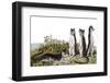 Hesperocyon-null-Framed Photographic Print