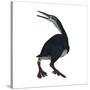 Hesperornis Was a A Flightless Bird That Lived During the Cretaceous Period-null-Stretched Canvas