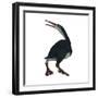 Hesperornis Was a A Flightless Bird That Lived During the Cretaceous Period-null-Framed Premium Giclee Print