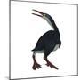 Hesperornis Was a A Flightless Bird That Lived During the Cretaceous Period-null-Mounted Premium Giclee Print