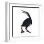 Hesperornis Was a A Flightless Bird That Lived During the Cretaceous Period-null-Framed Art Print