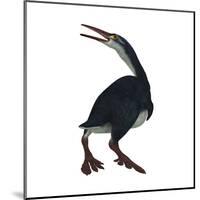 Hesperornis Was a A Flightless Bird That Lived During the Cretaceous Period-null-Mounted Art Print