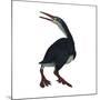 Hesperornis Was a A Flightless Bird That Lived During the Cretaceous Period-null-Mounted Art Print