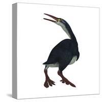 Hesperornis Was a A Flightless Bird That Lived During the Cretaceous Period-null-Stretched Canvas