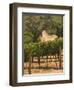 Hess Collection and Winery Vineyard View, Napa Valley, California-Walter Bibikow-Framed Photographic Print