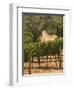 Hess Collection and Winery Vineyard View, Napa Valley, California-Walter Bibikow-Framed Photographic Print