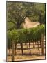 Hess Collection and Winery Vineyard View, Napa Valley, California-Walter Bibikow-Mounted Photographic Print
