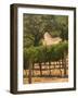 Hess Collection and Winery Vineyard View, Napa Valley, California-Walter Bibikow-Framed Photographic Print