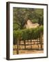 Hess Collection and Winery Vineyard View, Napa Valley, California-Walter Bibikow-Framed Photographic Print