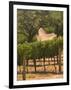 Hess Collection and Winery Vineyard View, Napa Valley, California-Walter Bibikow-Framed Photographic Print