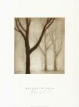 Forest III-Hess-Art Print