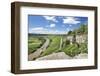 Hessigheim Felsengarten (Rock Gardens), Neckartal Valley, River Neckar-Marcus Lange-Framed Photographic Print