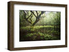 Hetre De La Marre-Philippe Manguin-Framed Photographic Print