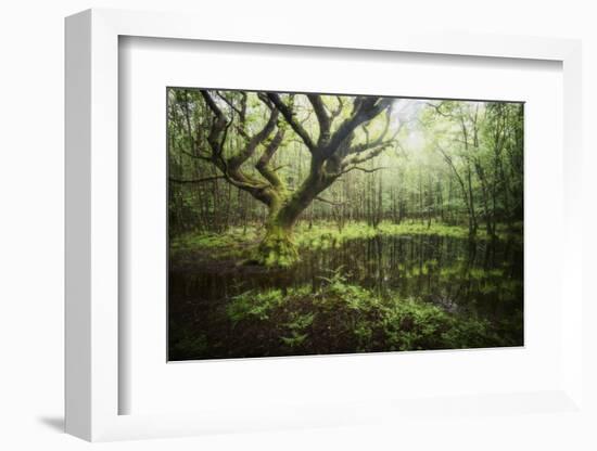 Hetre De La Marre-Philippe Manguin-Framed Photographic Print