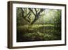 Hetre De La Marre-Philippe Manguin-Framed Photographic Print