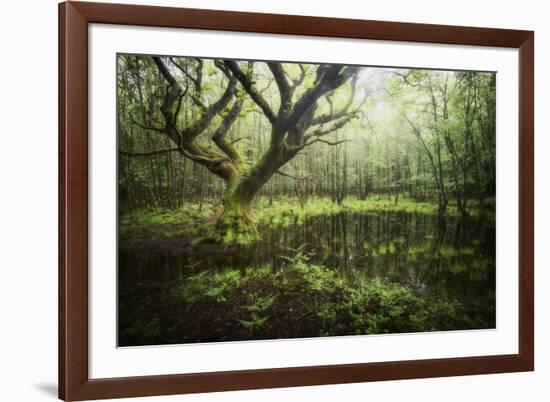 Hetre De La Marre-Philippe Manguin-Framed Photographic Print