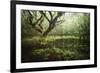 Hetre De La Marre-Philippe Manguin-Framed Photographic Print