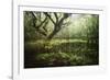 Hetre De La Marre-Philippe Manguin-Framed Photographic Print