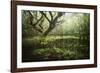 Hetre De La Marre-Philippe Manguin-Framed Photographic Print