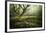 Hetre De La Marre-Philippe Manguin-Framed Photographic Print