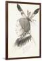 Heu-Topa, Four Horns or Jagoo, the Storyteller, Chief of the Hunkpapa Sioux, 1881-Rudolf Cronau-Framed Giclee Print