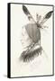 Heu-Topa, Four Horns or Jagoo, the Storyteller, Chief of the Hunkpapa Sioux, 1881-Rudolf Cronau-Framed Stretched Canvas