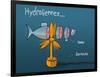 Heula. Hydroliennes normandes-Sylvain Bichicchi-Framed Art Print