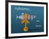 Heula. Hydroliennes normandes-Sylvain Bichicchi-Framed Art Print